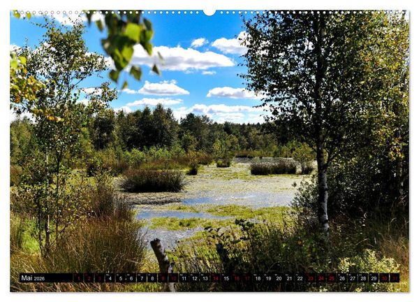 Produktbild: L&uuml;neburger Heide (hochwertiger Premium Wandkalender 2026 DIN A2 quer), Kunstdruck in Hochglanz