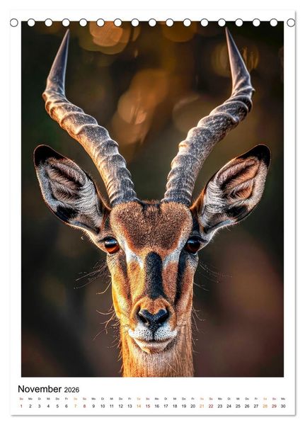 Produktbild: Afrikas Tierwelt - imposante K&ouml;pfe (Tischkalender 2026 DIN A5 hoch), CALVENDO Monatskalender