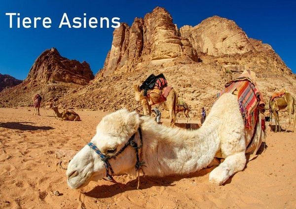 Produktbild: Tiere Asiens