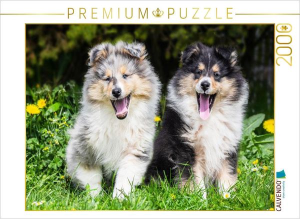 CALVENDO Puzzle Zwei, die hinaus wollen in die Welt | 2000 Teile Lege-Größe 90x67cm Foto-Puzzle für glückliche Stunden