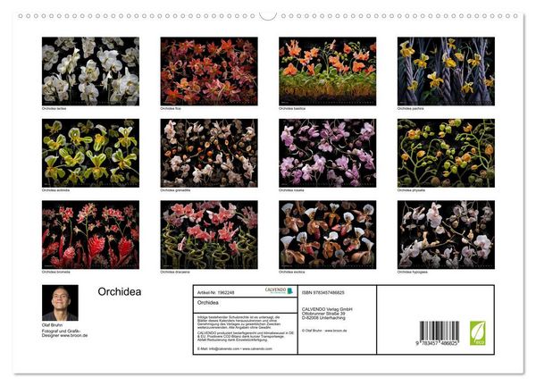 Produktbild: Orchidea (hochwertiger Premium Wandkalender 2026 DIN A2 quer), Kunstdruck in Hochglanz