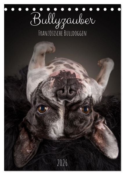 Produktbild: Bullyzauber - Franz&ouml;sische Bulldoggen (Tischkalender 2026 DIN A5 hoch), CALVENDO Monatskalender