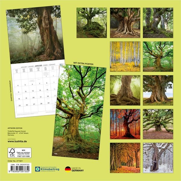 Produktbild: Die Kraft der B&auml;ume / The Power of Trees 2027