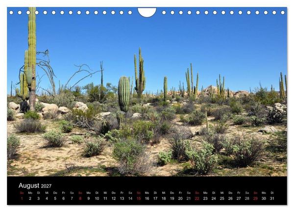 Produktbild: Baja California - Impressionen der mexikanischen Halbinsel (Wandkalender 2027 DIN A4 quer), CALVENDO Monatskalender