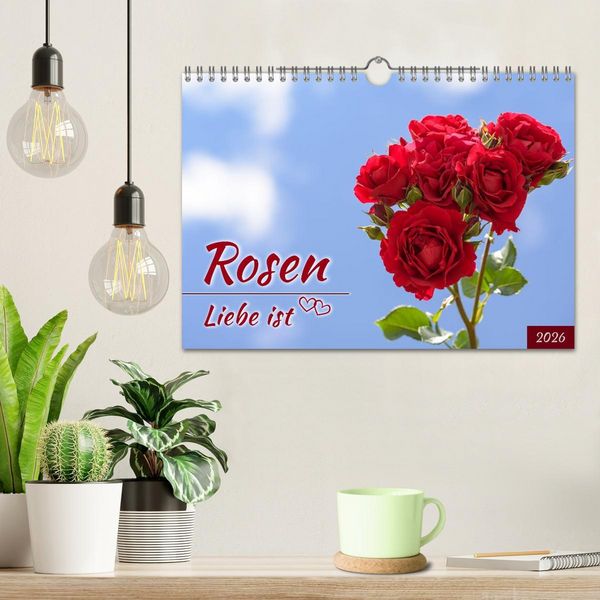 Produktbild: Rosen, Liebe ist (Wandkalender 2026 DIN A4 quer), CALVENDO Monatskalender