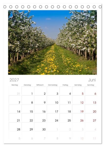 Produktbild: Tischplaner 2027 - Das Alte Land und die Elbe. Auf dem Weg zur Flussm&uuml;ndung (A5 Tischkalender zum Aufstellen) CALVENDO