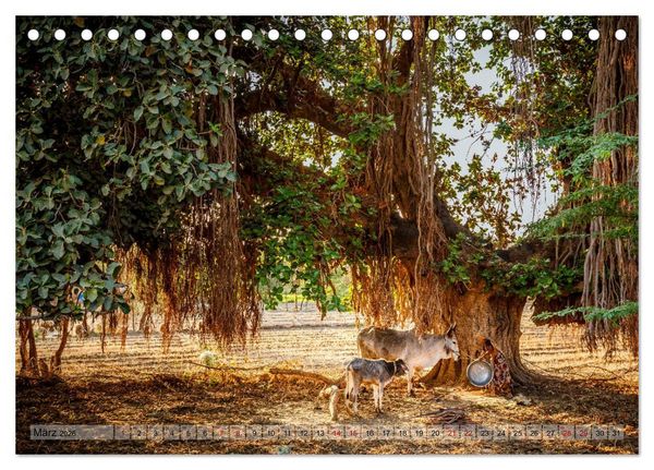 Produktbild: Indien Rajasthan: Unterwegs im Land der K&ouml;nige (Tischkalender 2026 DIN A5 quer), CALVENDO Monatskalender