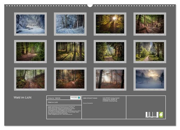 Produktbild: Wald im Licht (Wandkalender 2026 DIN A2 quer), CALVENDO Monatskalender