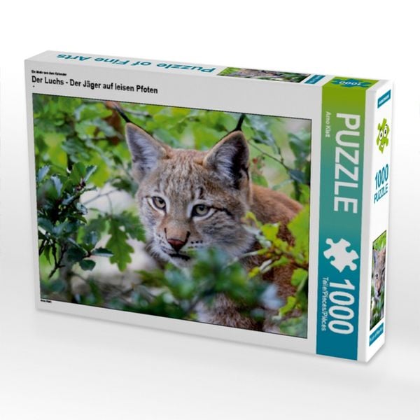 CALVENDO Puzzle Ein Motiv aus dem Kalender Der Luchs - Der Jäger auf leisen Pfoten | 1000 Teile Lege-Größe 64x48cm Foto-Puzzle für glückliche Stunden
