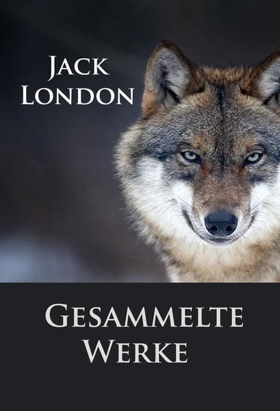 Produktbild: Jack London - Gesammelte Werke