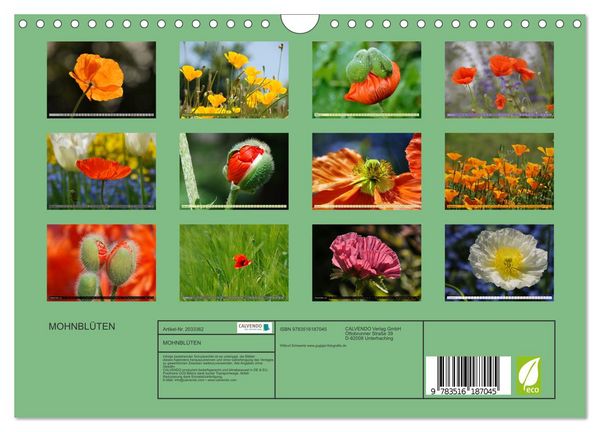 Produktbild: MOHNBL&Uuml;TEN (Wandkalender 2026 DIN A4 quer), CALVENDO Monatskalender