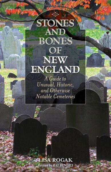 Produktbild: Stones and Bones of New England