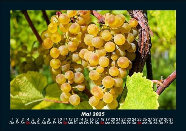 Produktbild: Obstkalender 2025 Fotokalender DIN A5