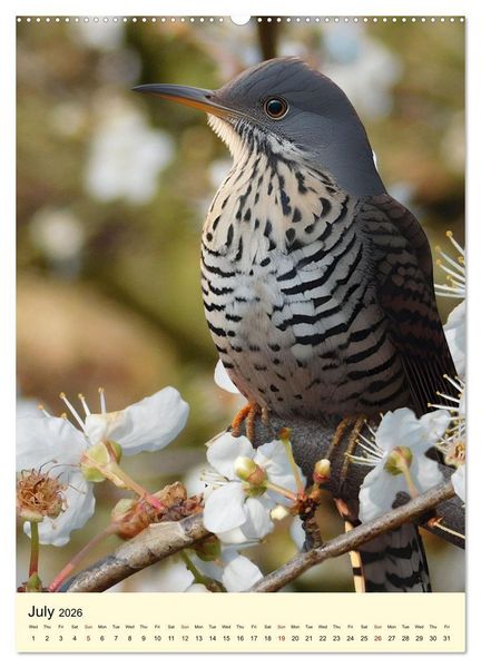 Produktbild: Shy forest birds (High Quality Premium Wall Calendar 2026 DIN A2 portrait),CALVENDO 12 Month Wall Calendar