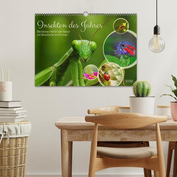 Produktbild: Insekt des Jahres (Wandkalender 2026 DIN A3 quer), CALVENDO Monatskalender