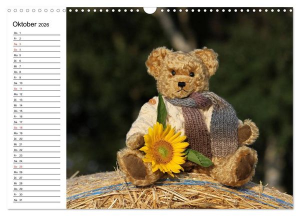 Produktbild: Teddy unterwegs (Wandkalender 2026 DIN A3 quer), CALVENDO Monatskalender