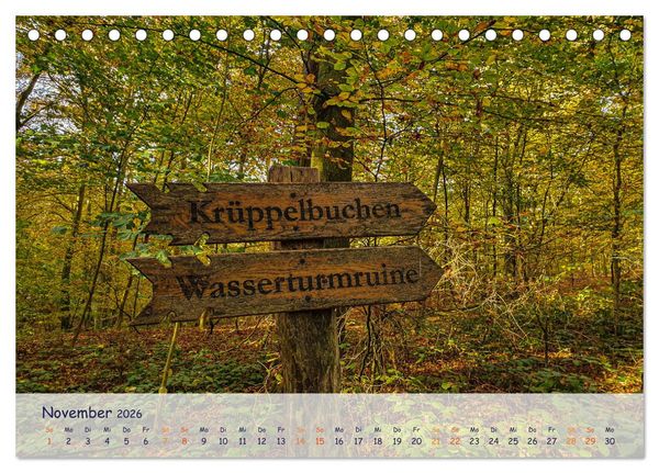 Produktbild: R&uuml;genliebe (Tischkalender 2026 DIN A5 quer), CALVENDO Monatskalender