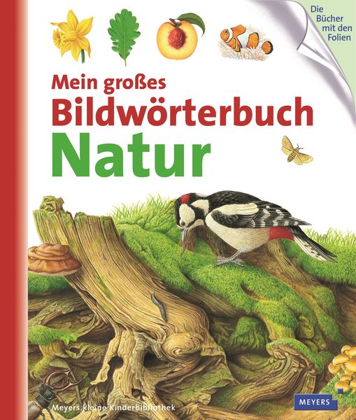Produktbild: Mein gro&szlig;es Bildw&ouml;rterbuch Natur