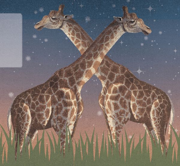 Produktbild: Die Nacht ist voller Wunder