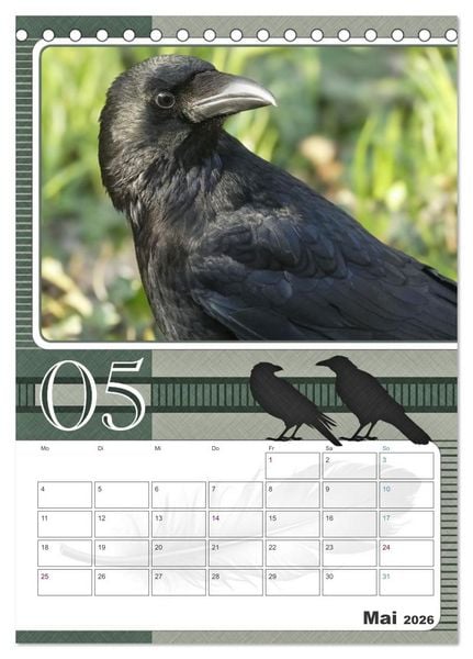 Produktbild: Kr&auml;hen - Clever notiert! Mit K&ouml;pfchen durchs ganze Jahr (Tischkalender 2026 DIN A5 hoch), CALVENDO Monatskalender
