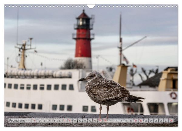 Produktbild: Seebad B&uuml;sum (Wandkalender 2026 DIN A3 quer), CALVENDO Monatskalender