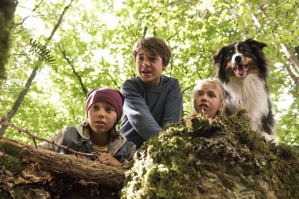 Produktbild: F&uuml;nf Freunde und das Tal der Dinosaurier