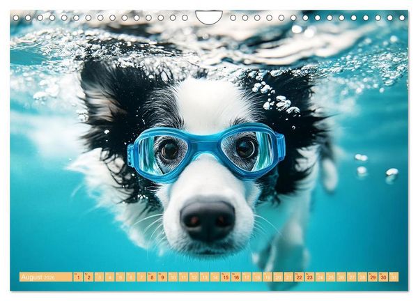 Produktbild: Lustige Sportarten f&uuml;r Hunde (Wandkalender 2026 DIN A4 quer), CALVENDO Monatskalender