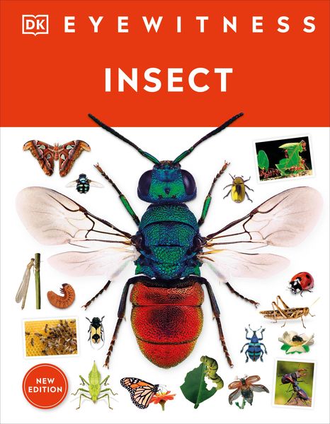 Produktbild: Eyewitness Insect
