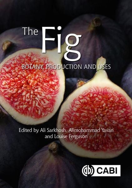 Produktbild: The Fig