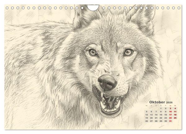 Produktbild: Wilde Seelen - Tierische Momente in Graphit (Wandkalender 2026 DIN A4 quer), CALVENDO Monatskalender