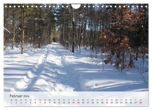 Produktbild: Vier Jahreszeiten - Eine Welt (Wandkalender 2026 DIN A4 quer), CALVENDO Monatskalender