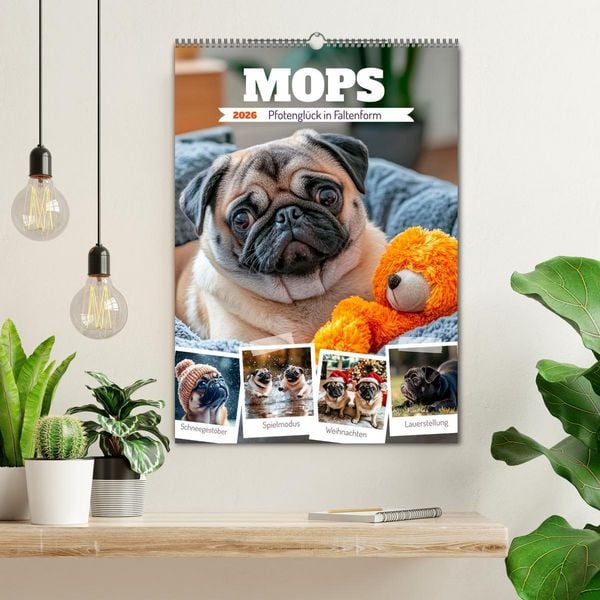 Produktbild: MOPS Pfotengl&uuml;ck in Faltenform (Wandkalender 2026 DIN A2 hoch), CALVENDO Monatskalender