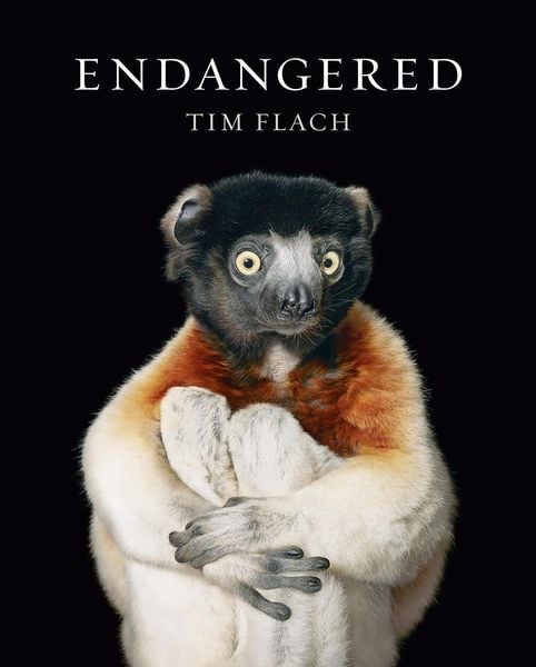 Flach, T: Endangered