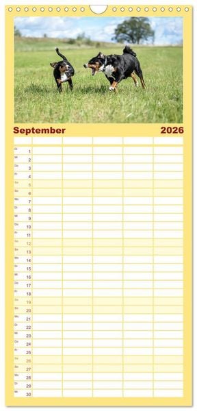 Produktbild: Familienplaner 2026 - Appenzeller Sennenhunde - Fr&ouml;hliche Kameraden mit 5 Spalten (Wandkalender, 21 x 45 cm) CALVENDO