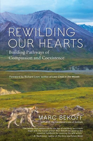 Produktbild: Rewilding Our Hearts