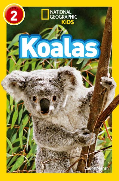 Produktbild: Koalas