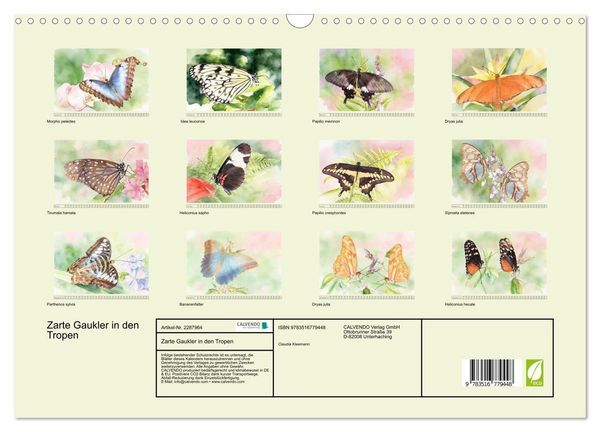 Produktbild: Zarte Gaukler in den Tropen (Wandkalender 2027 DIN A3 quer), CALVENDO Monatskalender