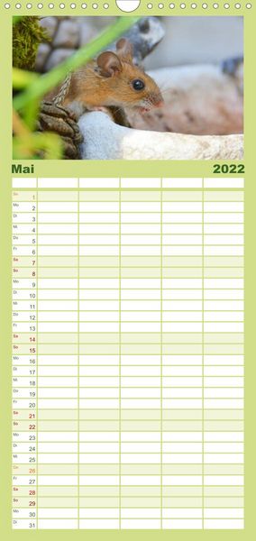 Produktbild: Familienplaner ... hier kommt die Maus ... (Wandkalender 2022 , 21 cm x 45 cm, hoch)