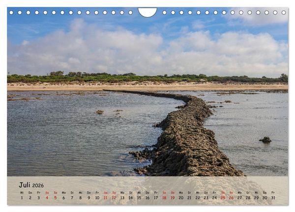 Produktbild: Rota, in Spanien (Wandkalender 2026 DIN A4 quer), CALVENDO Monatskalender