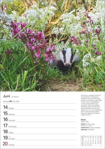 Produktbild: Heimische Tiere Wochenplaner 2027 - 53 faszinierende Fotografien