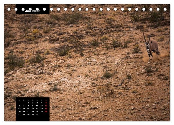 Produktbild: Blickpunkte des S&uuml;dlichen Afrika (Tischkalender 2026 DIN A5 quer), CALVENDO Monatskalender
