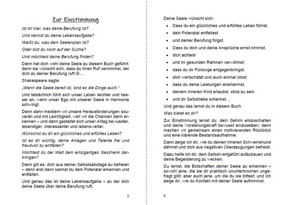 Produktbild: Finde deine Berufung und erf&uuml;lle deinen Seelenplan