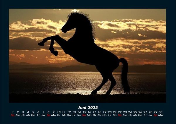 Produktbild: Die Welt der Pferde 2025 Fotokalender DIN A4