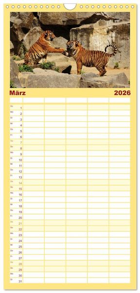 Produktbild: Familienplaner 2026 - Tiger mit 5 Spalten (Wandkalender, 21 x 45 cm) CALVENDO