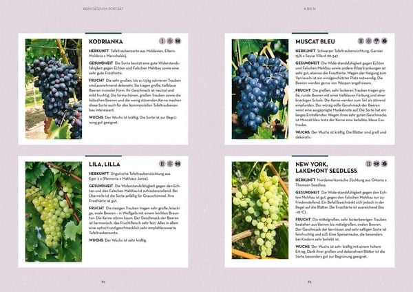 Produktbild: Wein im Garten anbauen & ernten