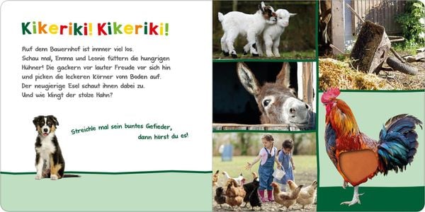 Hör mal rein, wer kann das sein? – Auf dem Bauernhof