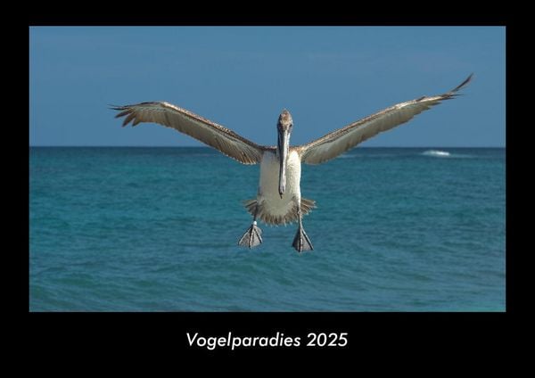 Produktbild: Vogelparadies 2025 Fotokalender DIN A3