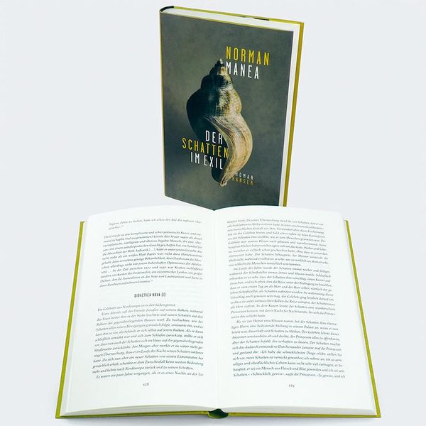 Produktbild: Der Schatten im Exil