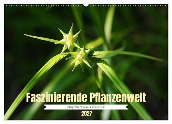 Produktbild: Faszinierende Pflanzenwelt (Wandkalender 2027 DIN A2 quer), CALVENDO Monatskalender