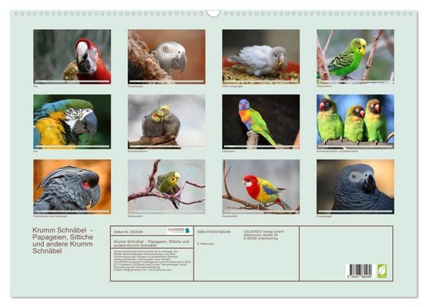 Produktbild: Krumm Schn&auml;bel - Papageien, Sittiche und andere Krumm Schn&auml;bel (Wandkalender 2026 DIN A2 quer), CALVENDO Monatskalender